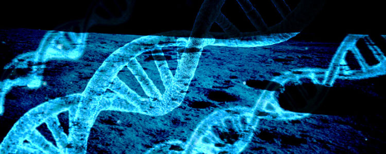 بانک DNA به ماه فرستاده می‌شود